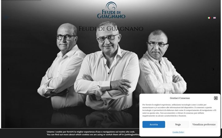 Screenshot ta' feudiguagnano.it