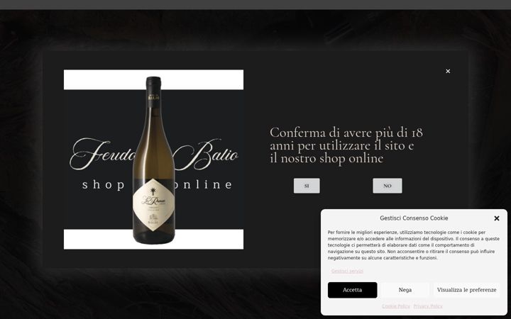 Screenshot ta' feudodelbalio.it