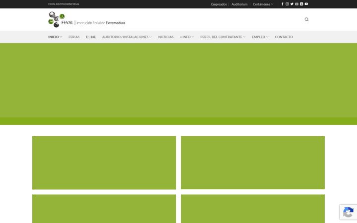 Screenshot of feval.com