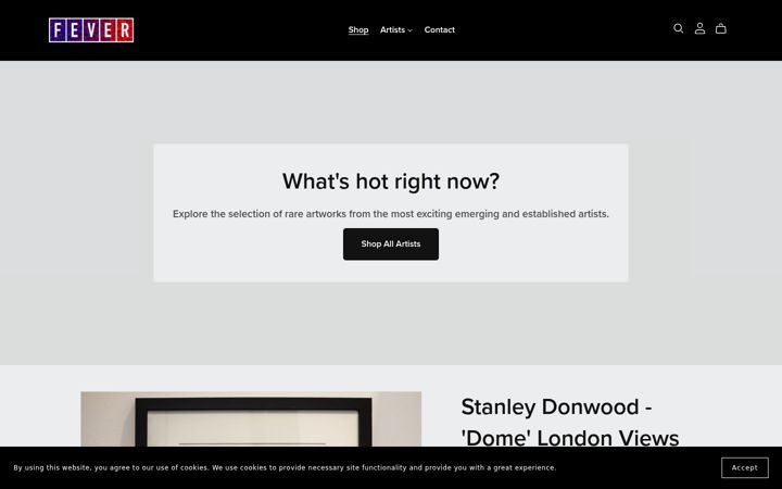 Screenshot of fevergallery.com
