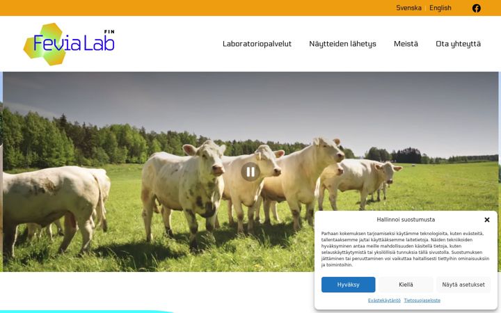 Screenshot of fevialab.fi