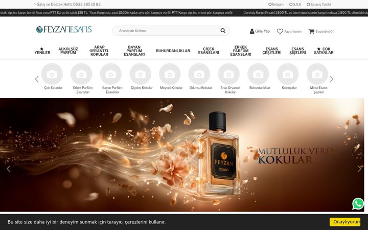Screenshot of feyzanesans.com