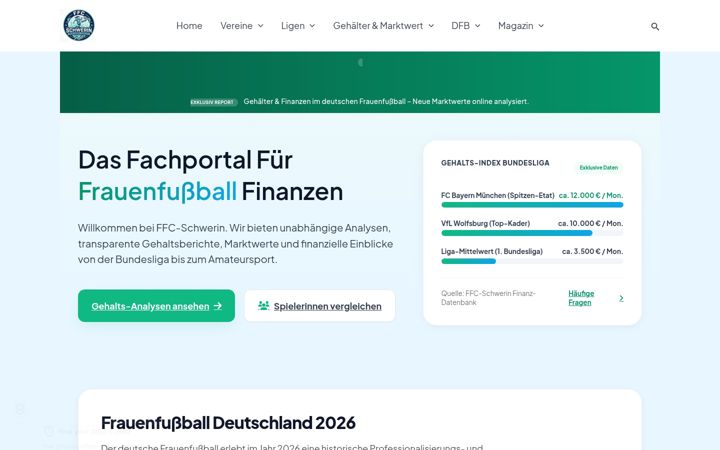 Screenshot of ffc-schwerin.de