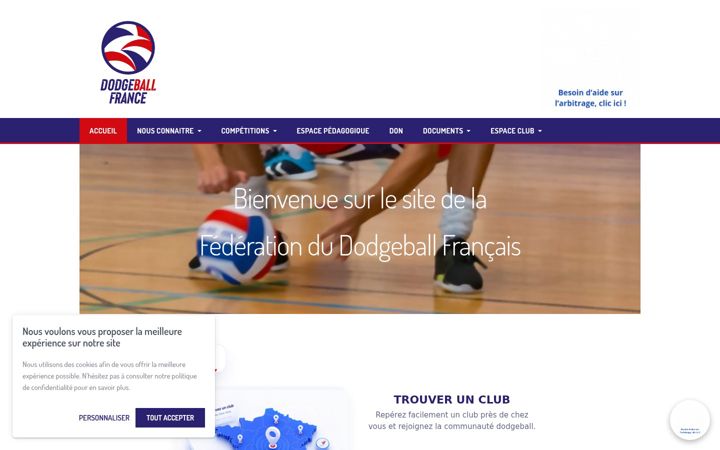 Screenshot of ffdodgeball.fr