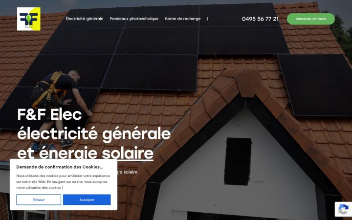 Screenshot of ffelec.be
