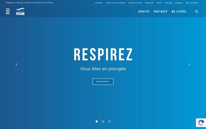 Zrzut ekranu ffessm.fr
