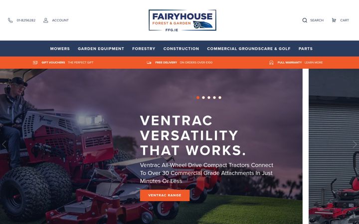 Screenshot of ffg.ie