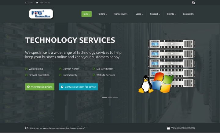 Screenshot of ffgconnection.com