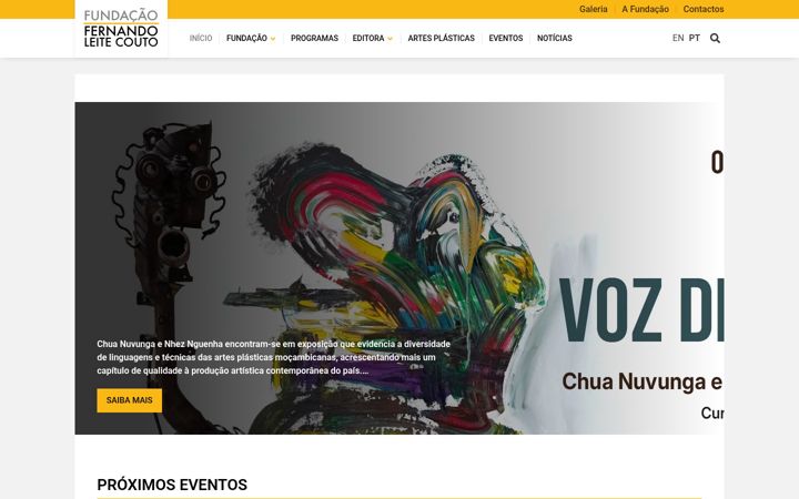Screenshot of fflc.org.mz