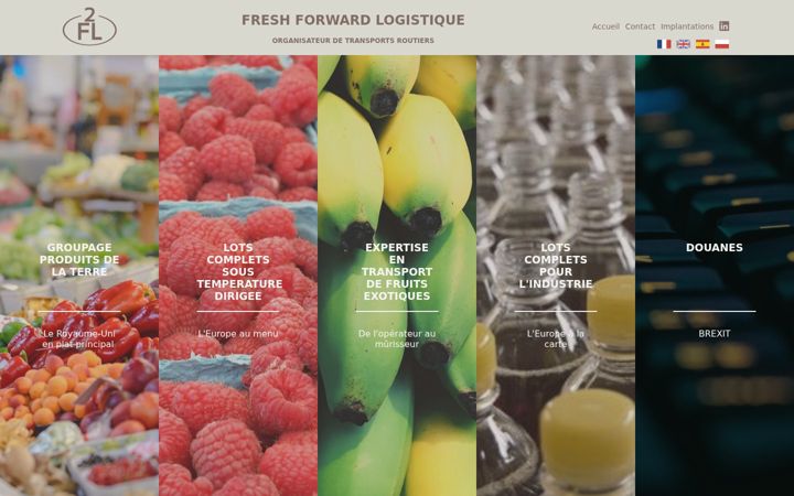 Screenshot of fflogistique.fr