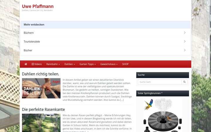 Screenshot of ffmann.de