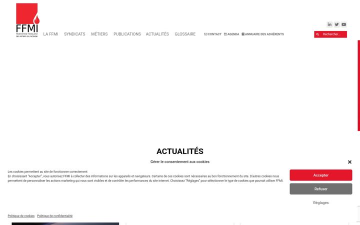 Screenshot of ffmi.asso.fr