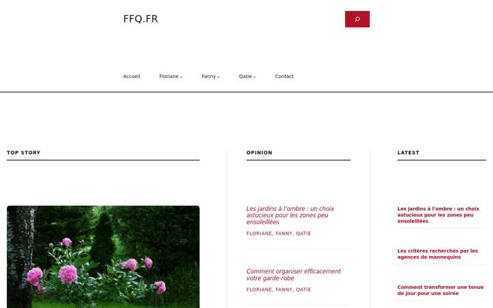 Screenshot of ffq.fr