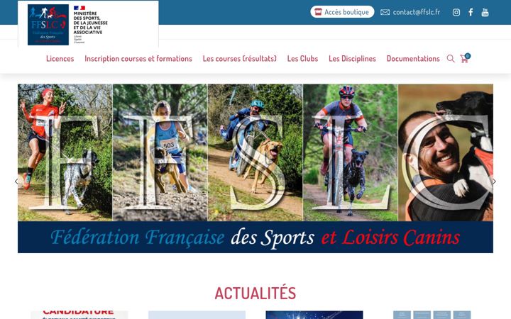Screenshot of ffslc.fr