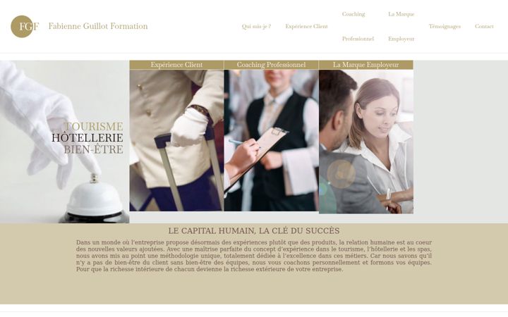Screenshot of fgf-consulting.com
