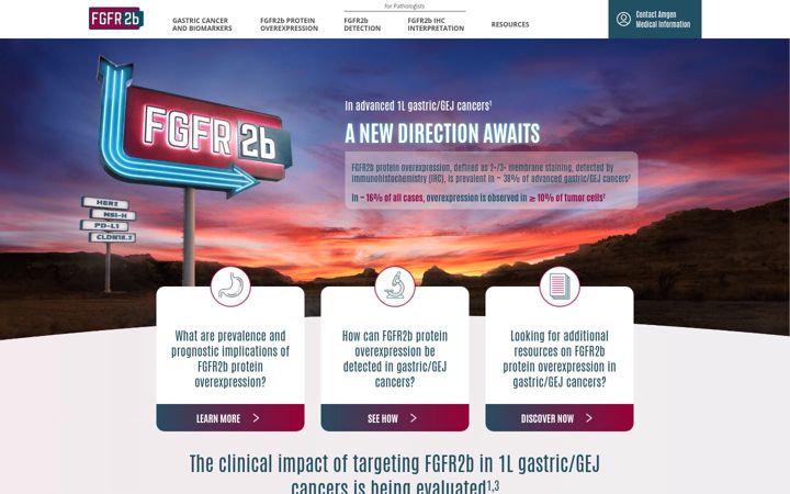 Screenshot of fgfr2b.com