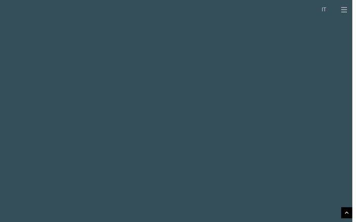 Screenshot of fglawfirm.it