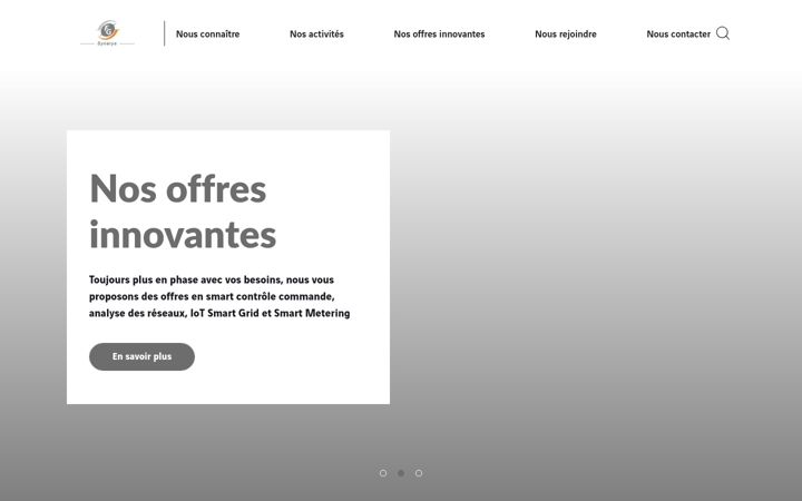 Screenshot of fgsynerys.fr