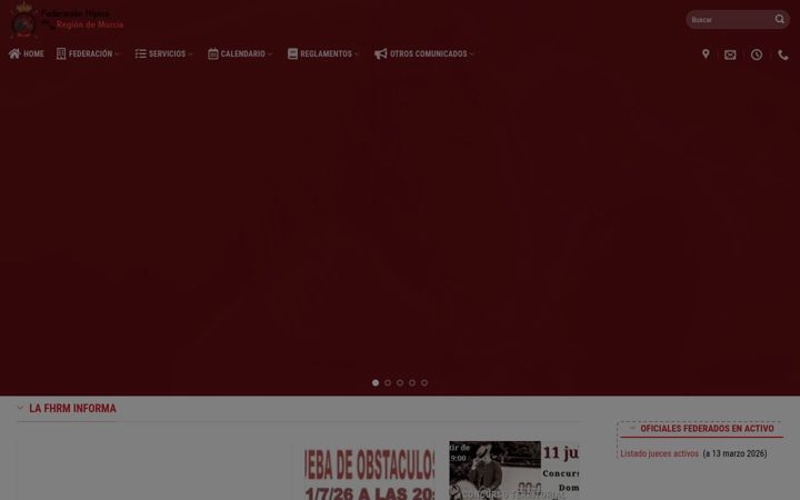 Screenshot of fhmurcia.es