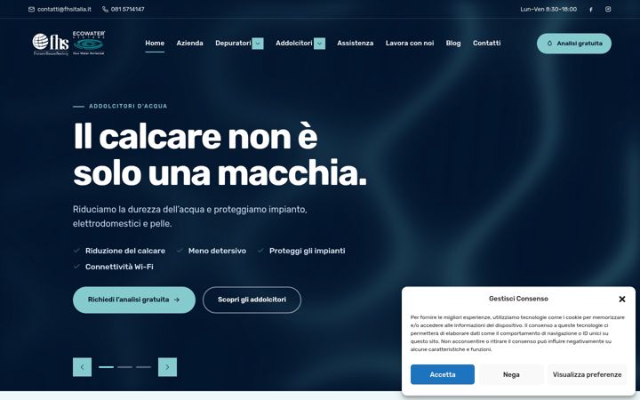 Screenshot ta' fhsitalia.it