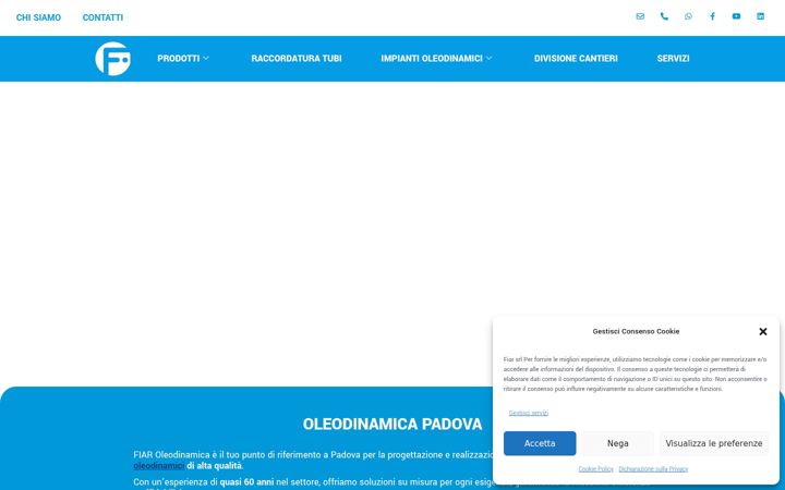 Screenshot ta' fiaroleodinamica.it