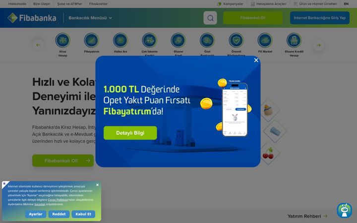 Screenshot of fibabanka.com.tr