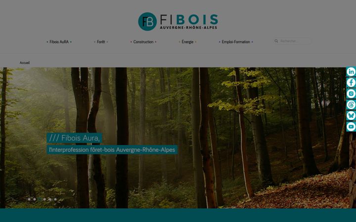 Screenshot of fibois-aura.org