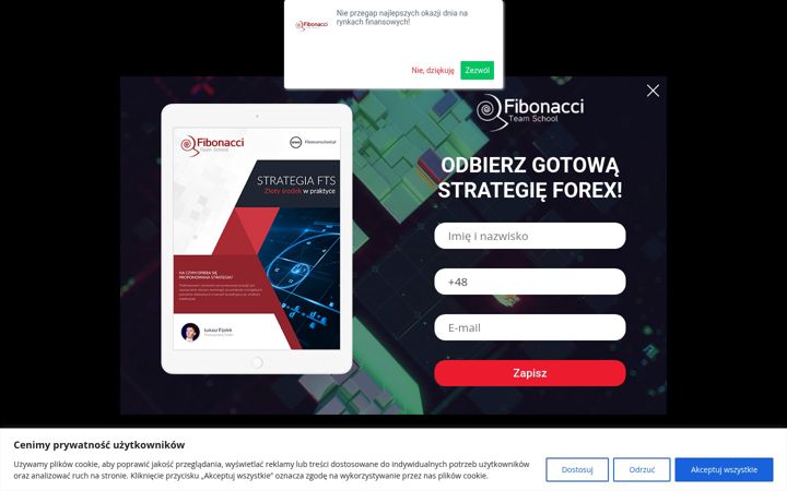 Screenshot of fiboteamschool.pl