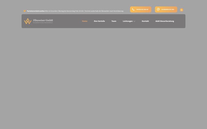 Screenshot of fibuweiser.at