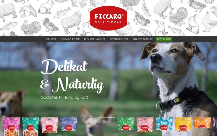 Screenshot of ficcaro.no