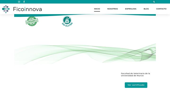 Screenshot of ficoinnova.com