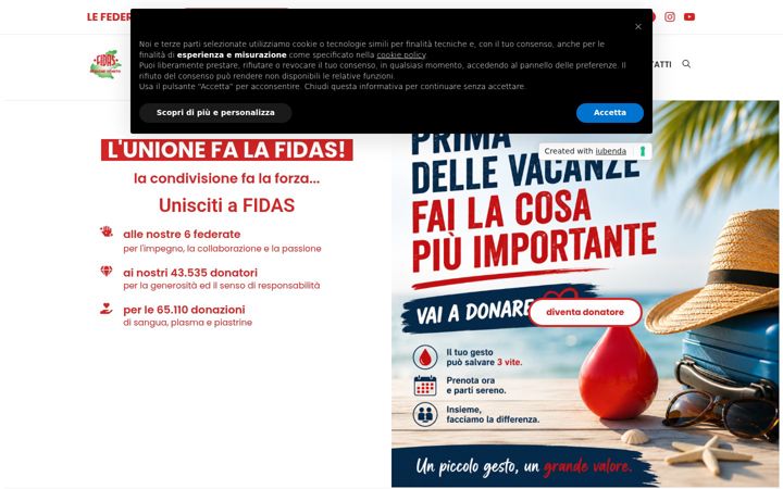 Screenshot of fidasveneto.it