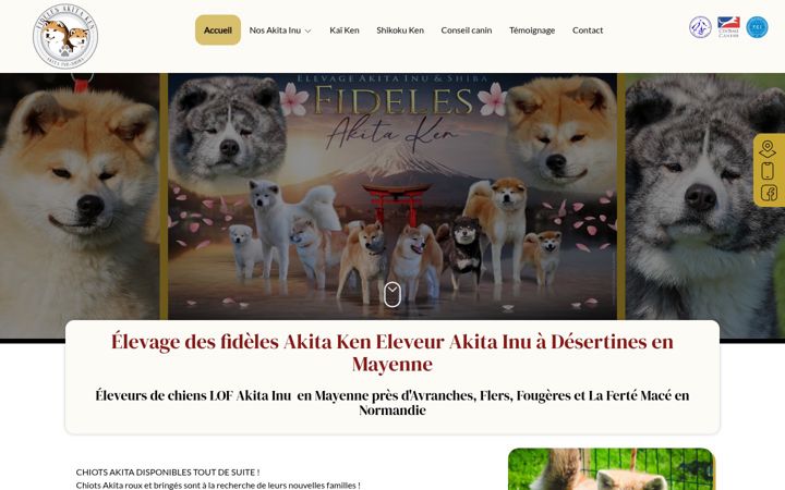 Screenshot of fidelesakitaken.com