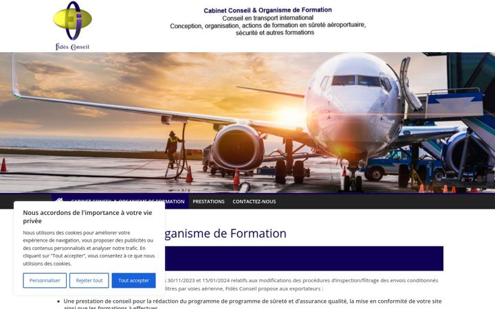 Screenshot of fidesconseilgroup.com
