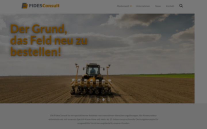 Screenshot of fidesconsult.de