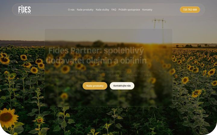 Screenshot of fidespartner.cz