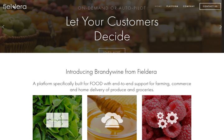 Screenshot of fieldera.com