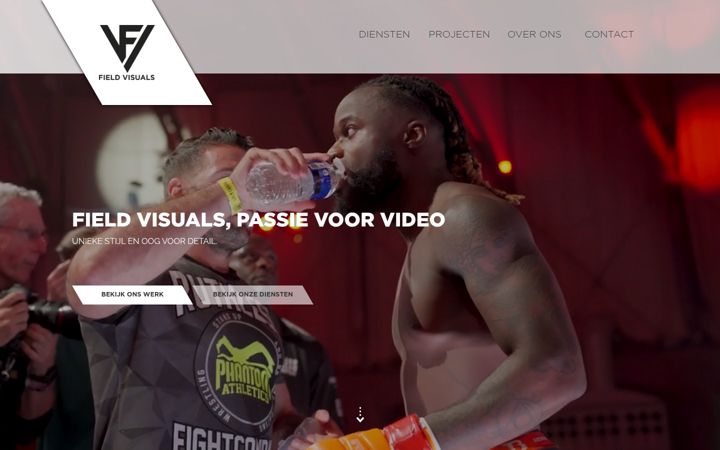 Screenshot of fieldvisuals.nl