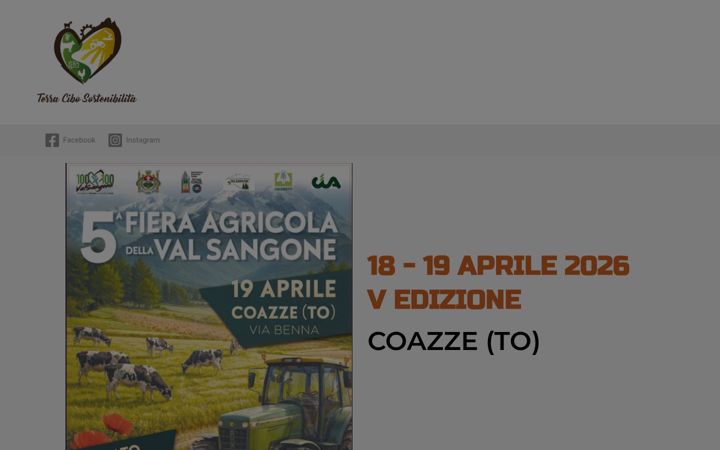 Screenshot of fieraagricolavalsangone.it