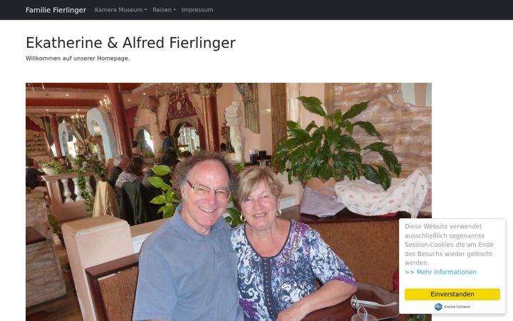 Screenshot of fierlinger.at
