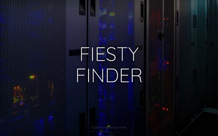 Screenshot of fiestyfinder.com