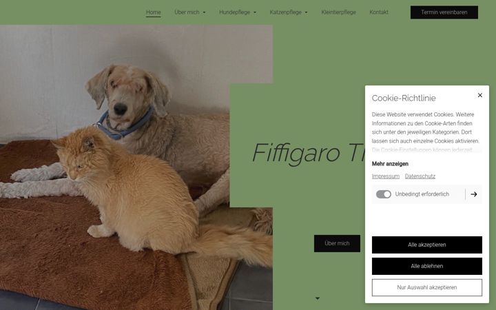 Screenshot of fiffigaro.de