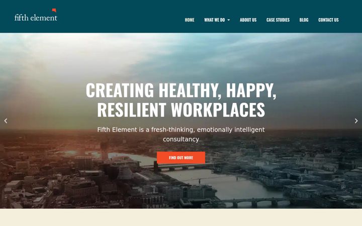 Screenshot of fifthelementsolutions.com