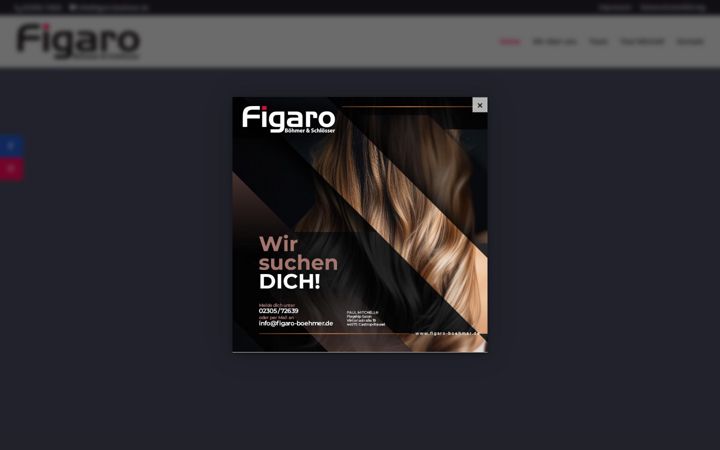 Screenshot of figaro-boehmer.de