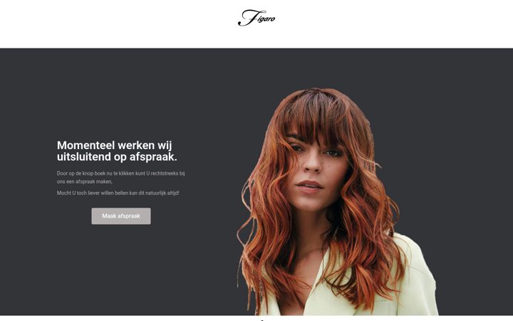 Screenshot of figaro-carlos.nl