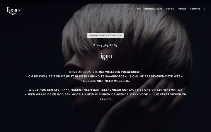 Screenshot of figarodioggi.nl