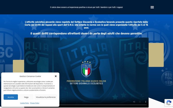 Screenshot of figc-tutelaminori.it