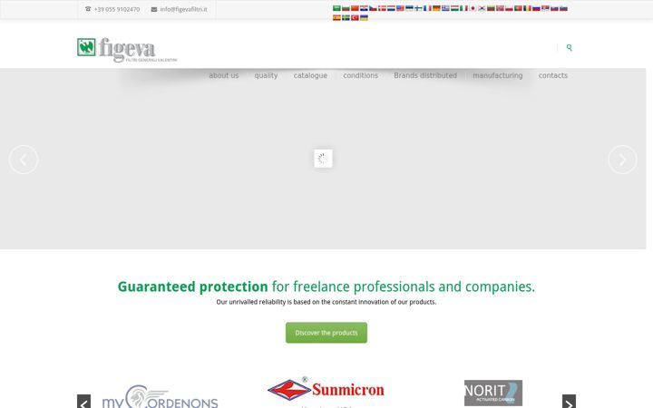 Screenshot of figevafilters.com
