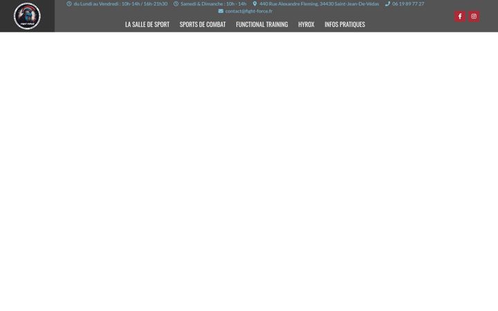 Screenshot of fight-force.fr