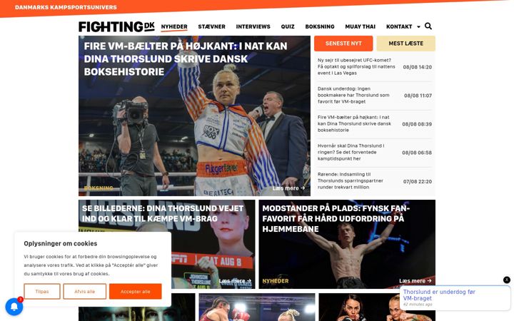Screenshot of fighting.dk